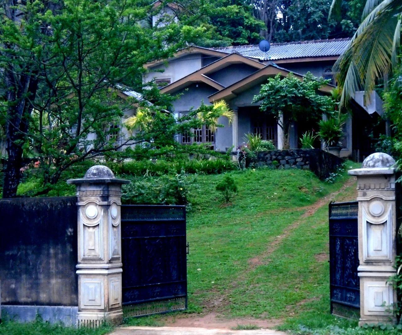 Bee Line Cinnamon Estate Villa Dikwella Εξωτερικό φωτογραφία